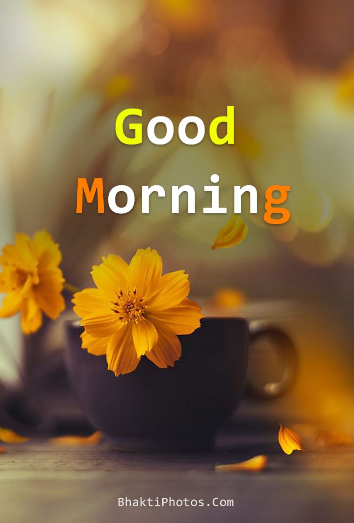 80+ Good Morning Images HD 1080p Download - Good Morning Wishes