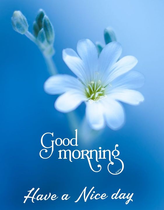 718+ Good Morning Images | Healthy, Beautiful Good Morning 2023 HD ...